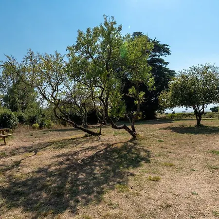 Tatil Evi La Paisible - 50m - Jardin